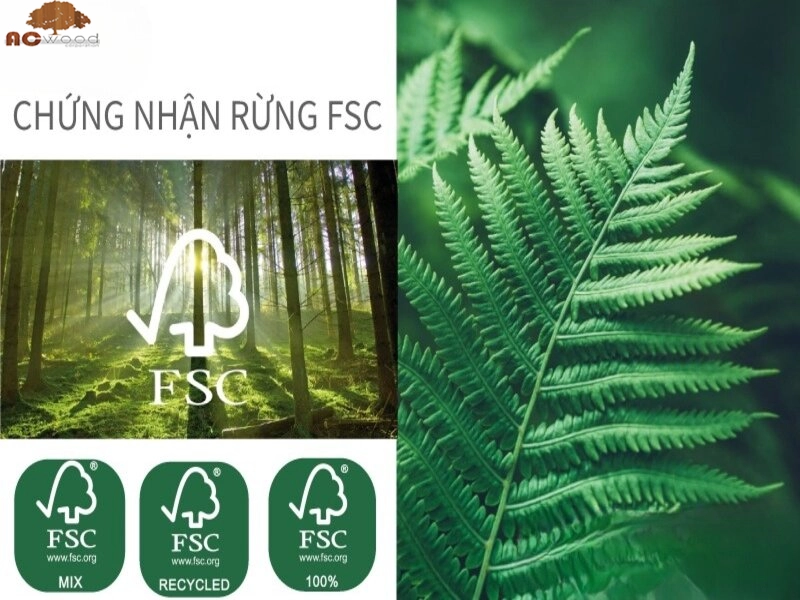 sợi Lenzing Tencel chứng nhận FSC và Oeko Tex