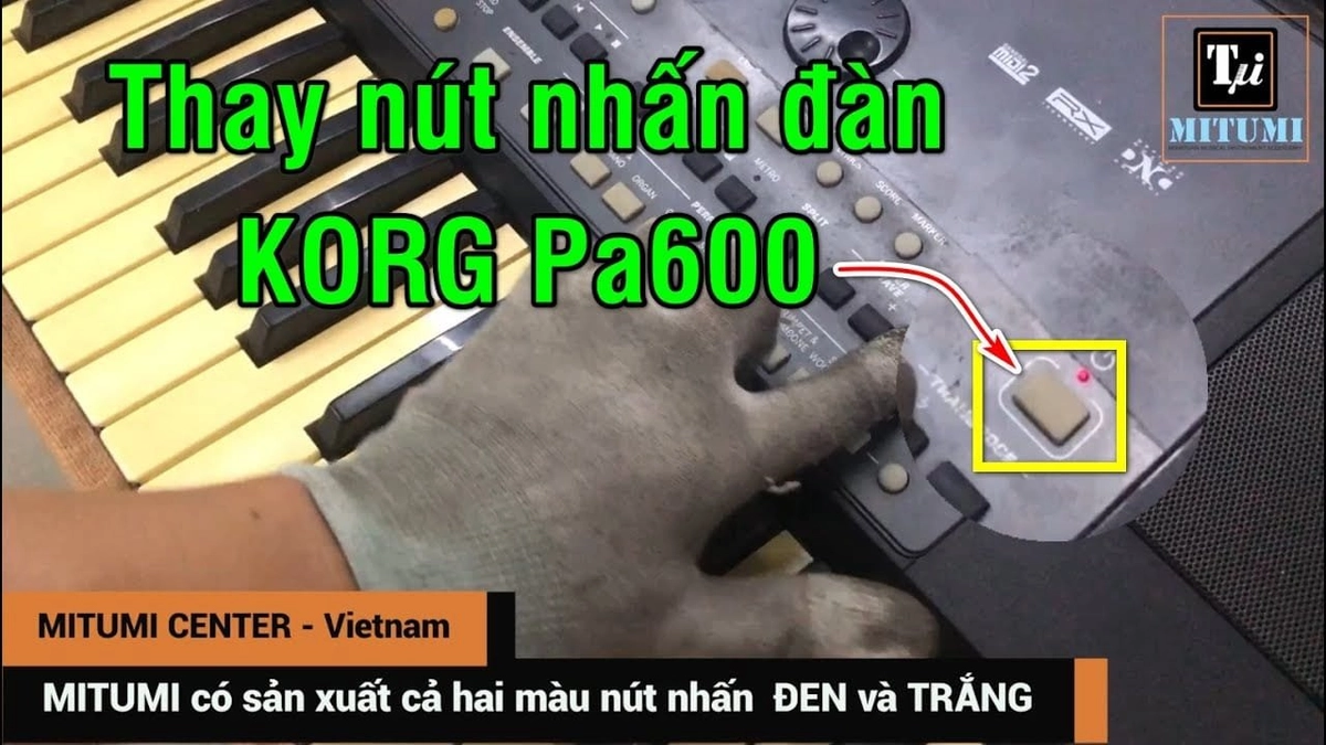 tem bảo hành nệm cao su Kim Đan kèm sổ hướng dẫn