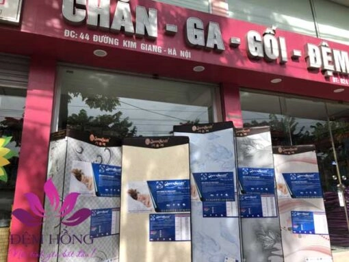Tem bảo hành QR đệm bông ép Queensweet chính hãng