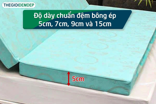 Thử độ cứng đệm bông ép tại showroom