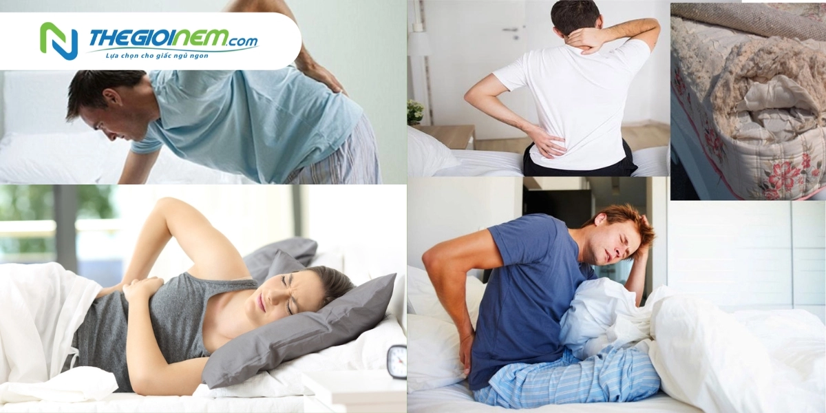 thử độ cứng nệm Everhome theo tư thế ngủ