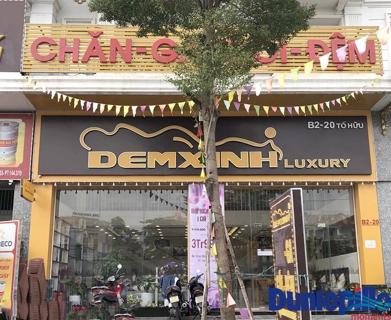 Tiêu chí đánh giá nệm Dunlopillo Liên Á Vạn Thành