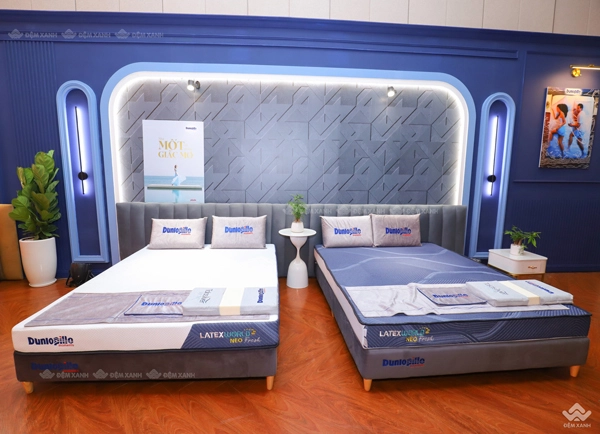 trưng bày các mẫu nệm Dunlopillo tại showroom
