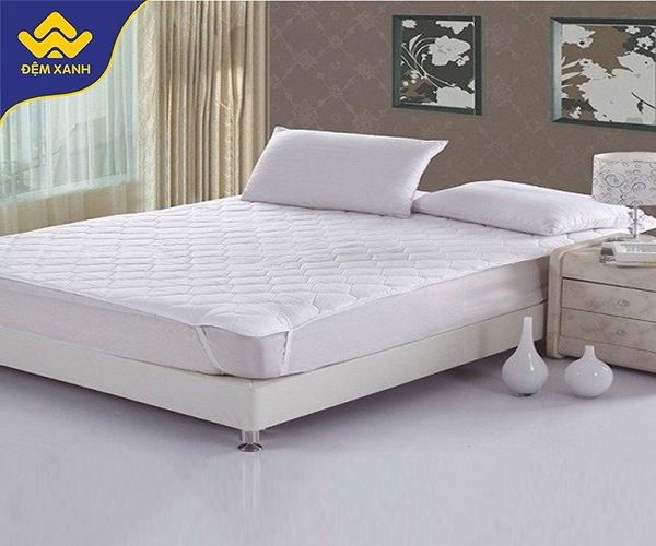vệ sinh áo nệm Dunlopillo và dùng tấm bảo vệ
