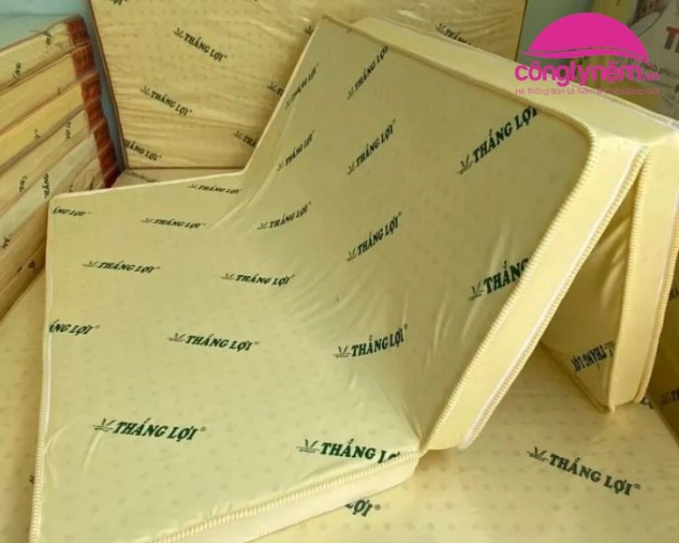 Ba hồ sơ người dùng và gợi ý nệm Rosi Thắng Lợi