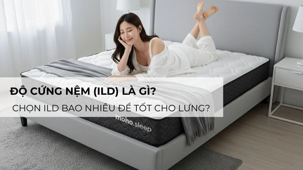bảng độ cứng nệm Hàn Việt Hải tại showroom