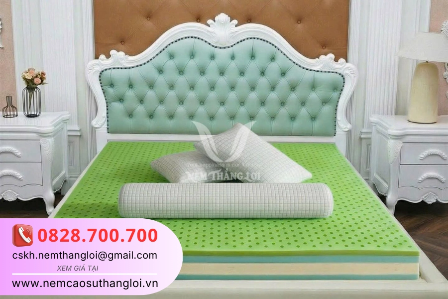 bảng giá minh họa sản phẩm Nệm Thắng Lợi