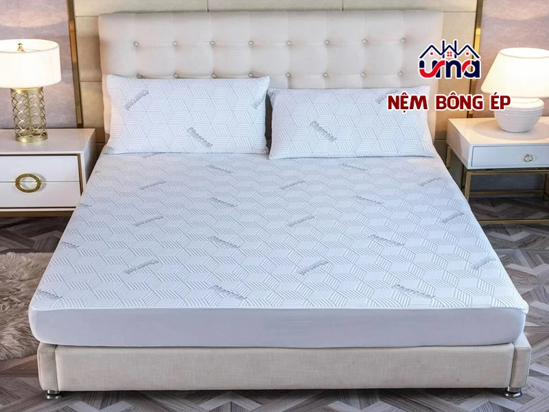 bảng giá nệm bông ép cuộn nhập khẩu minh họa