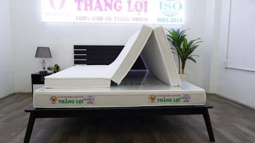bảng giá nệm Thắng Lợi gấp 3 trưng bày cửa hàng