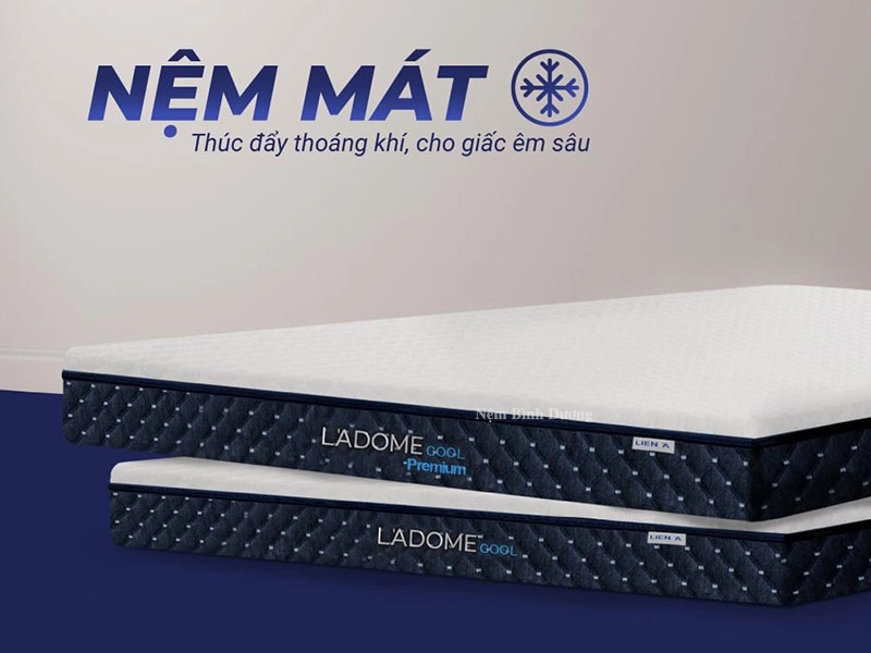 bảng kiểm mua nệm Liên Á cho ký túc xá