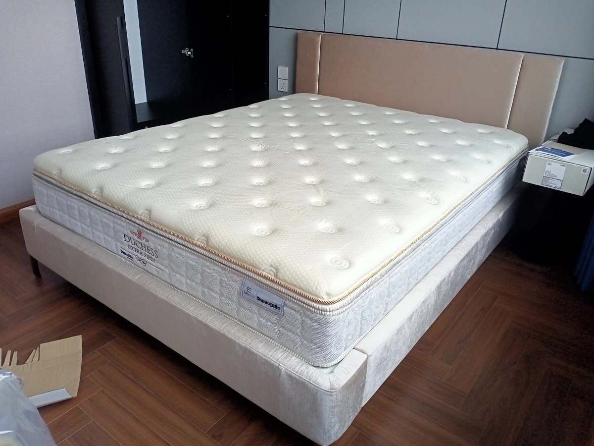 bảng so sánh đệm cao su Liên Á và lò xo Dunlopillo