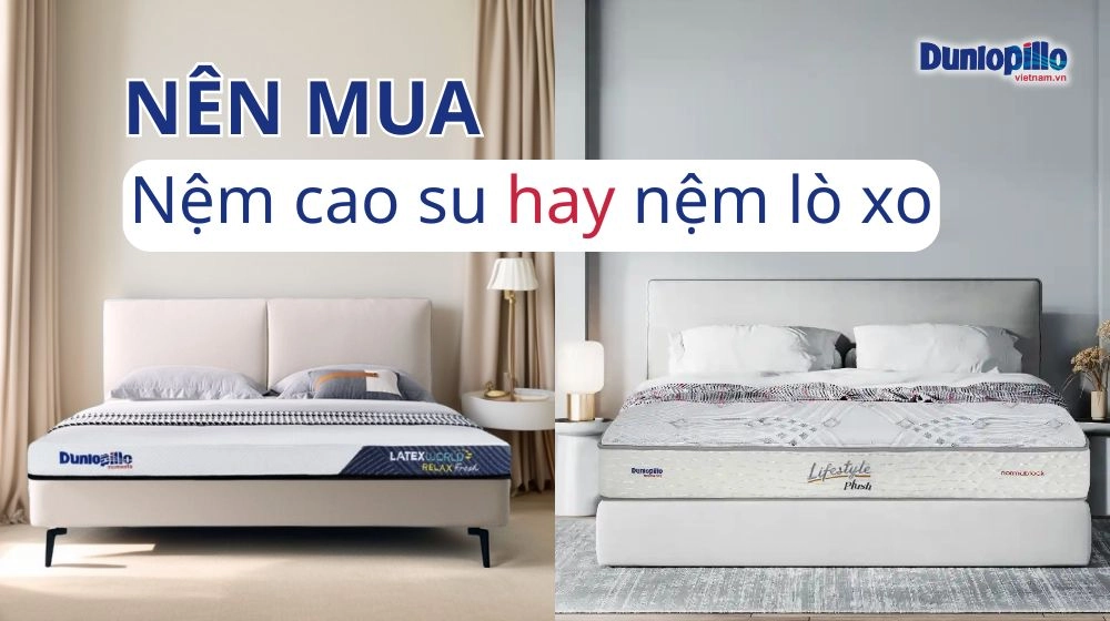 bảng tiêu chí chọn nệm lò xo hay nệm cao su