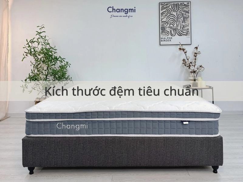 biểu đồ kích thước đệm tiêu chuẩn khách sạn
