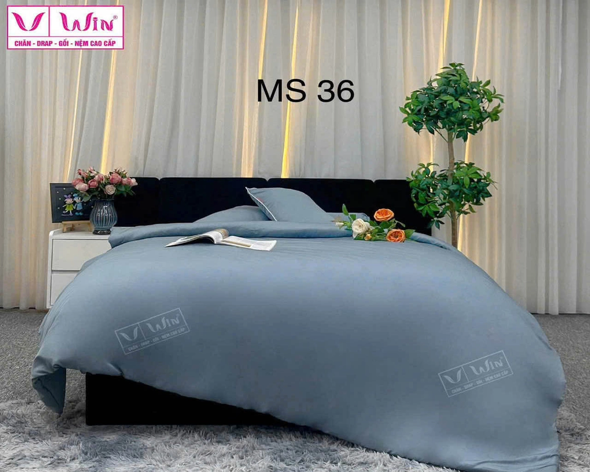 bộ sưu tập chăn ga gối Thắng Lợi nhiều phong cách