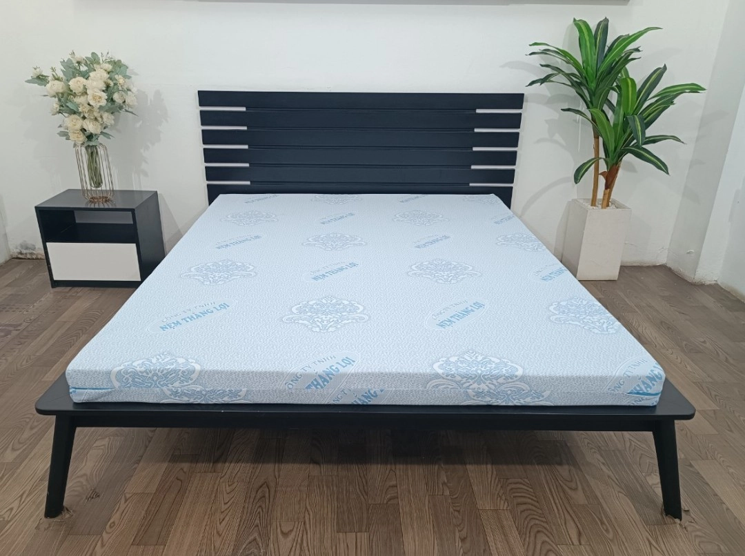 Bộ sưu tập Rosi Thắng Lợi trong không gian showroom