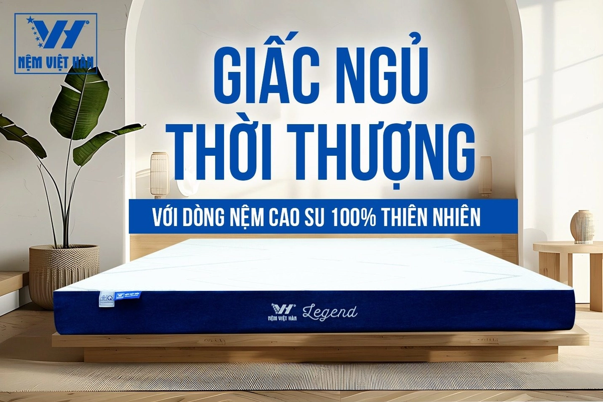 các dòng nệm Nệm Thuần Việt theo nhu cầu