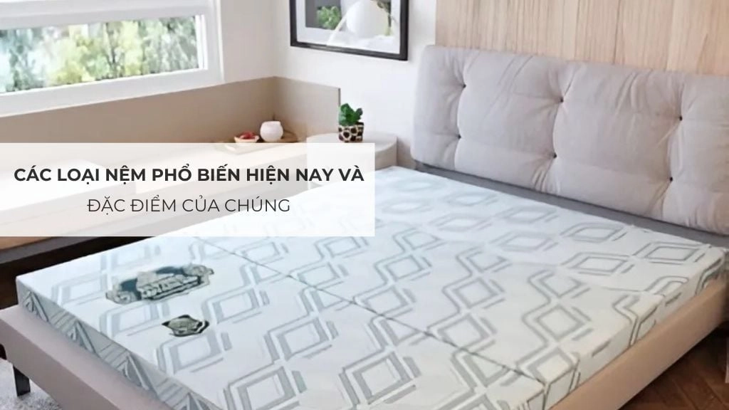 các dòng nệm phổ biến của Hàn Việt Hải