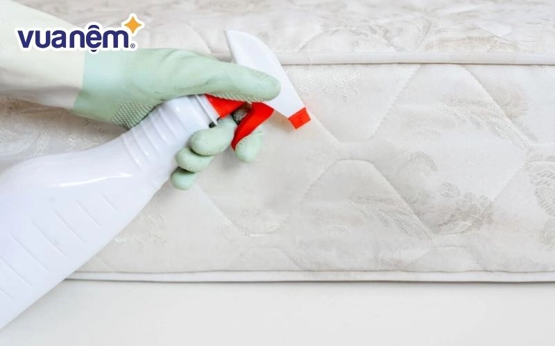 cách sử dụng đệm bông ép Forever ngay từ ngày đầu