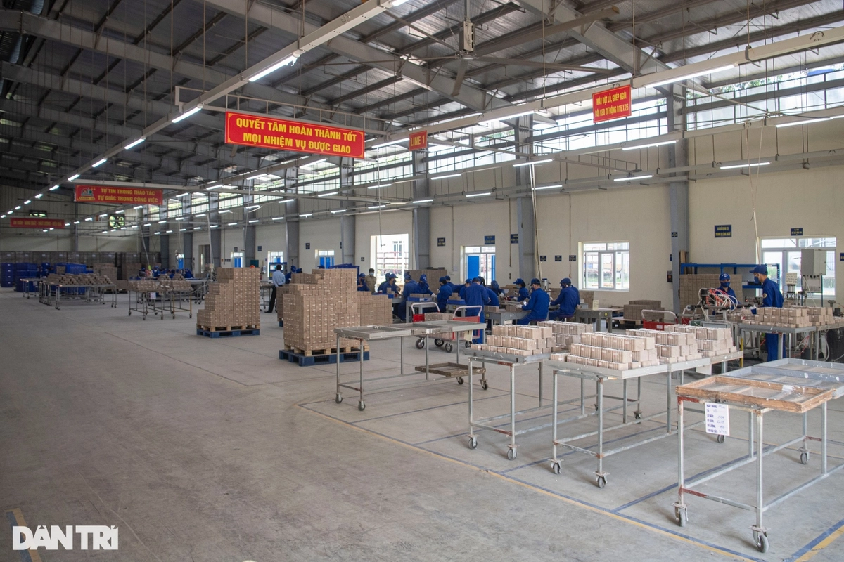 Cận cảnh đường may áo nệm và tem bảo hành