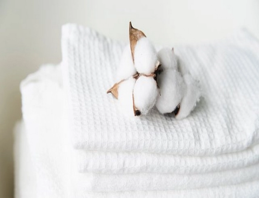 cận cảnh sợi Tencel và cotton Akemi mềm mịn