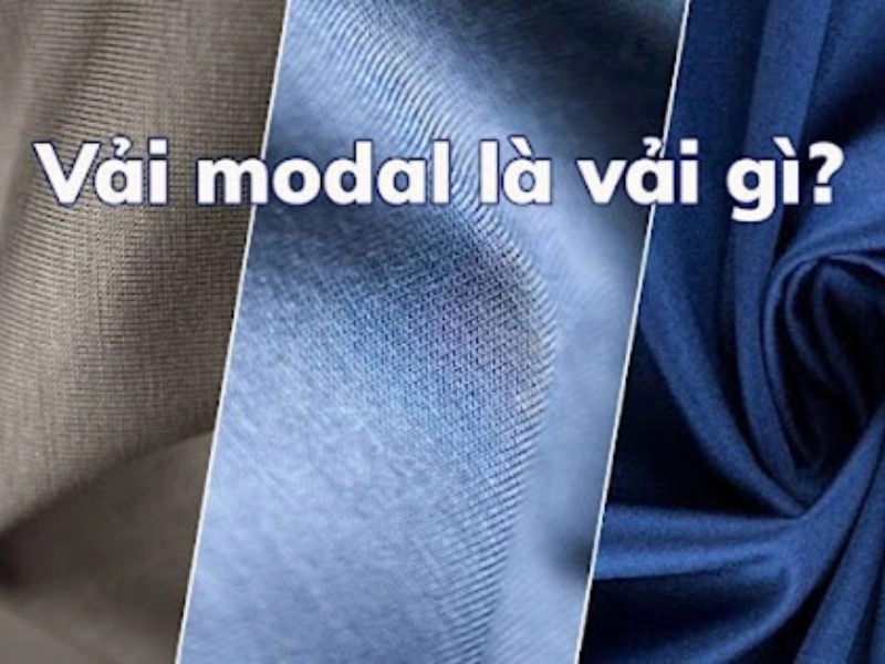 Cận cảnh sợi vải Tencel và cotton Thắng Lợi