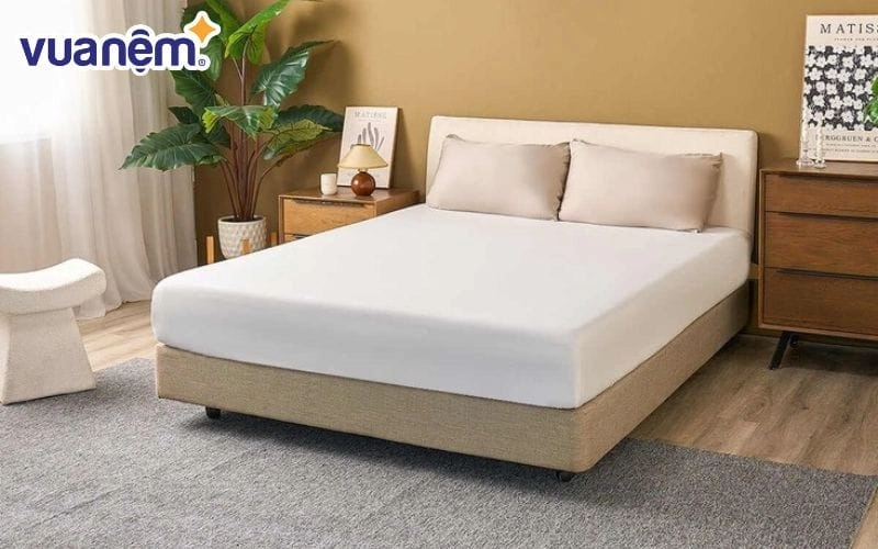 câu hỏi về nệm Doona Bamboo chống thấm