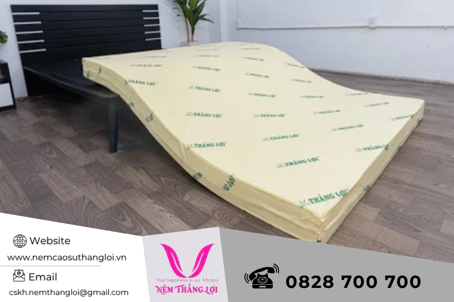 cấu tạo nệm cao su non Trung Sơn cắt lớp