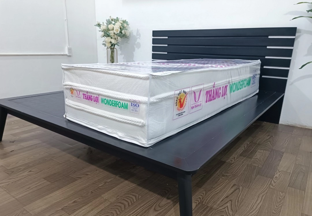 Cấu trúc foam nệm Thắng Lợi và American cắt lớp