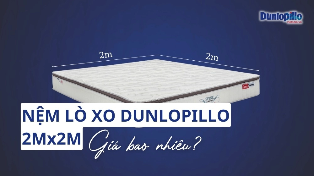 cấu trúc nhiều lớp nệm Dunlopillo cắt nghiêng rõ ràng