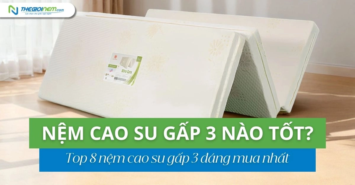 checklist mua nệm gấp 3 in trên giấy