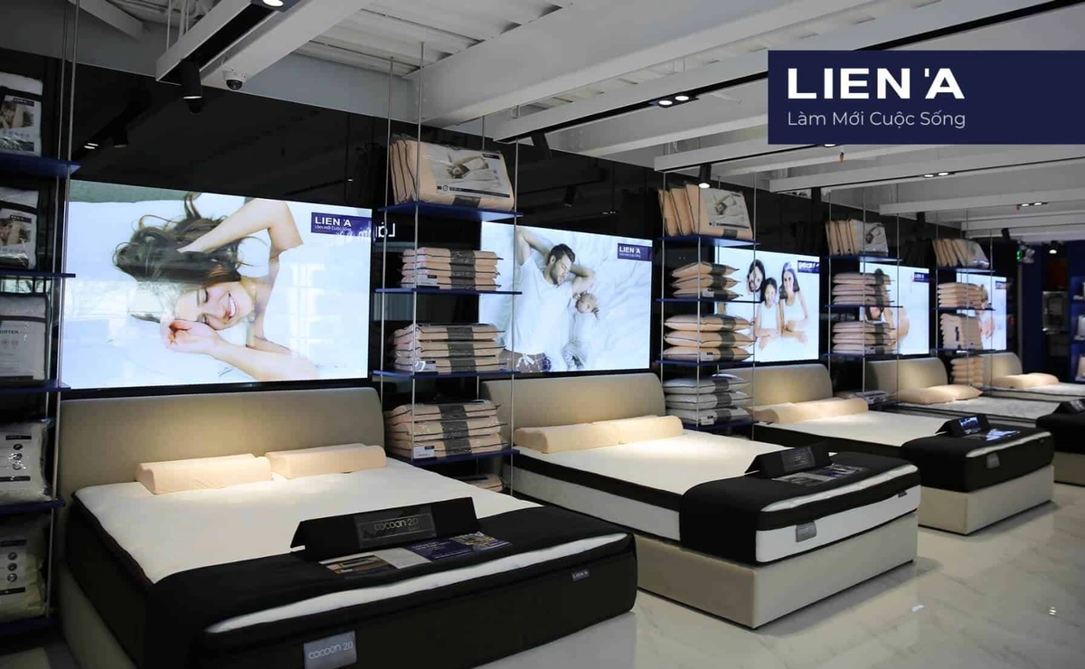 chuyên gia giải đáp về nệm Hàn Việt Hải tại showroom