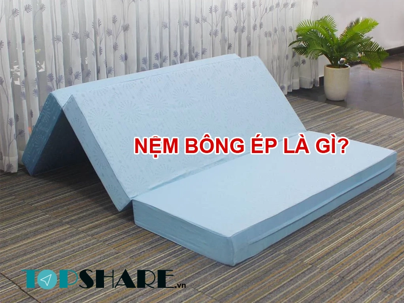 chuyên gia tư vấn chọn nệm bông ép cho khách