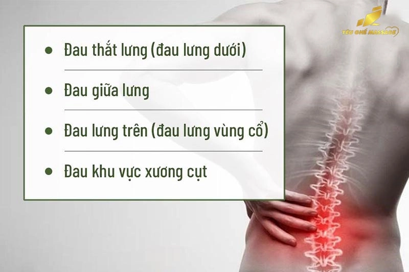 đặt tựa lưng đúng vị trí cột sống thắt lưng