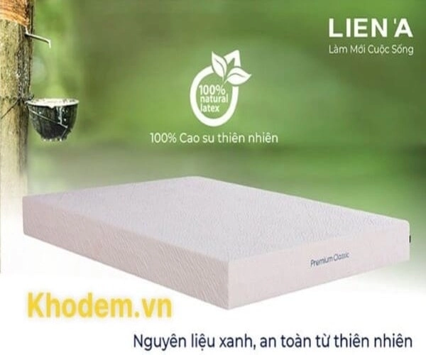 Gia đình trẻ sử dụng đệm Liên Á bông ép