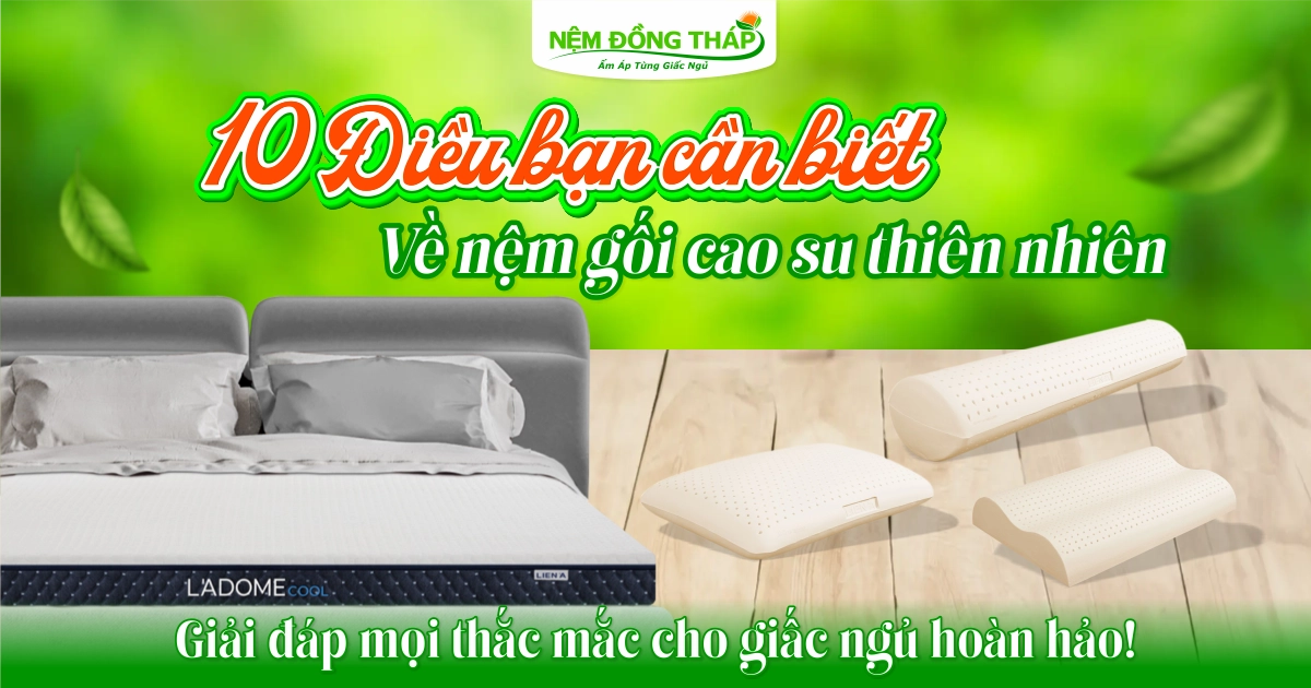 giải đáp thắc mắc nệm bông ép cuộn nhập khẩu