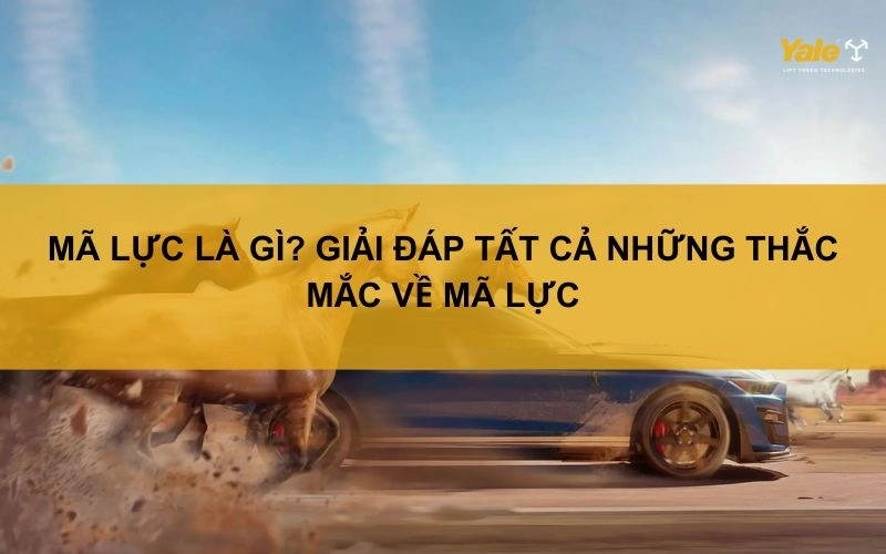 Giải đáp thắc mắc về nệm Liên Á gấp 3