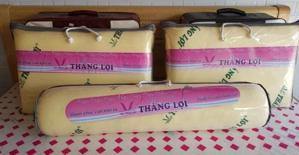 gối cao su non Thắng Lợi đặt cạnh nệm
