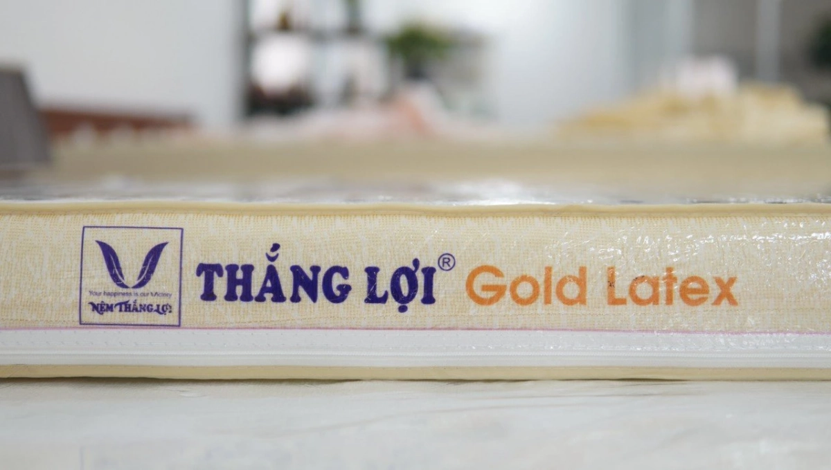 Hai người so thử nệm Thắng Lợi và American