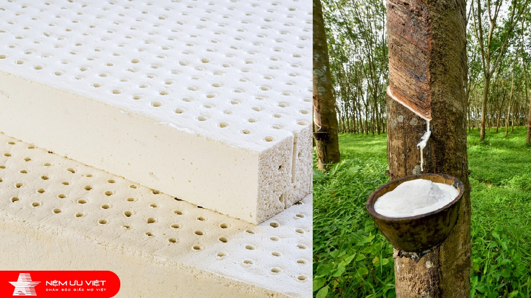 Hệ thống lỗ thoáng của nệm cao su Talalay