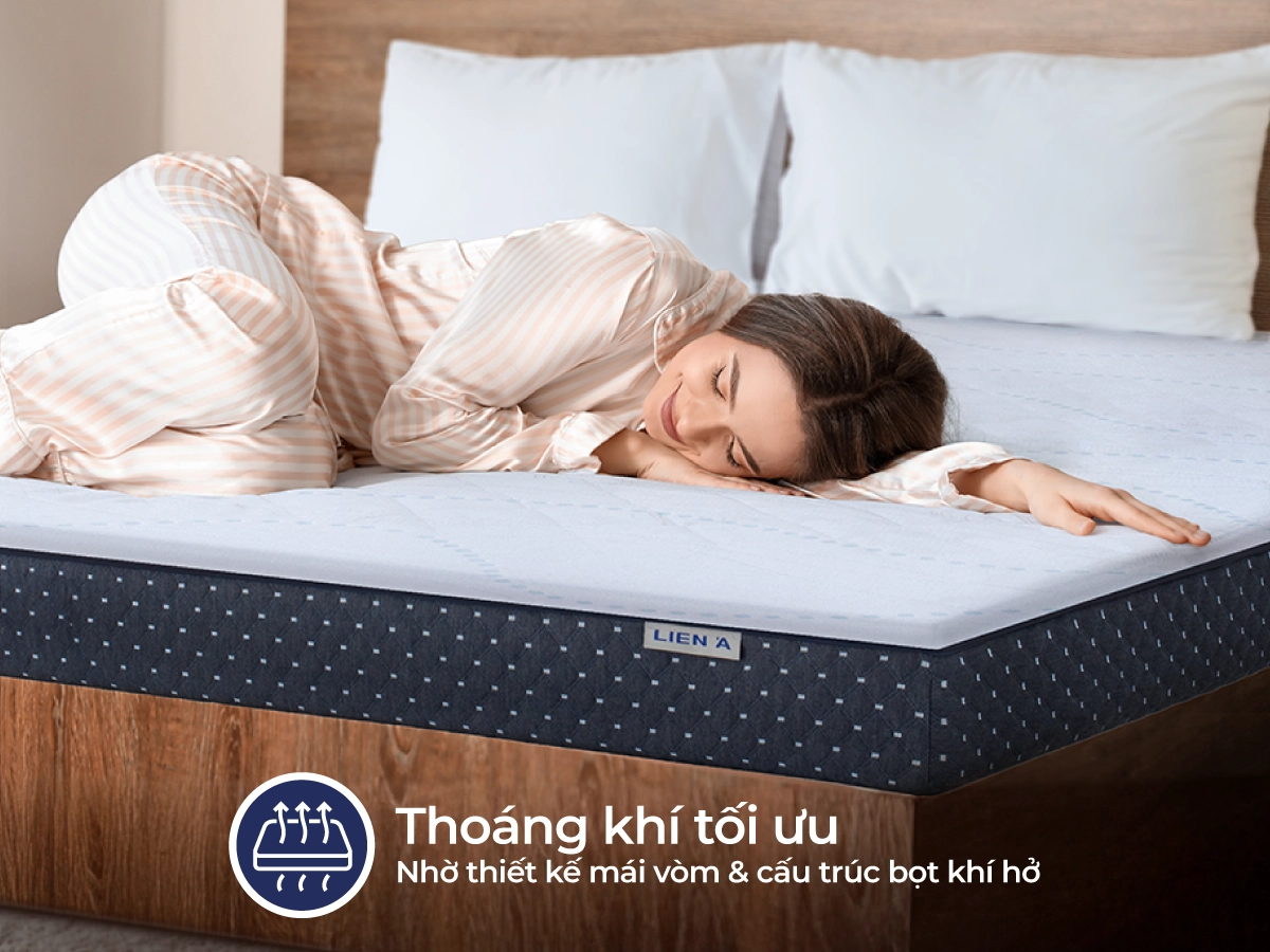 hộp nệm giao tận nơi Kim Dẫn 1m6 10cm