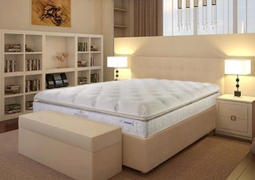 kệ trưng bày nệm lò xo túi Everon Dunlopillo đa phân khúc