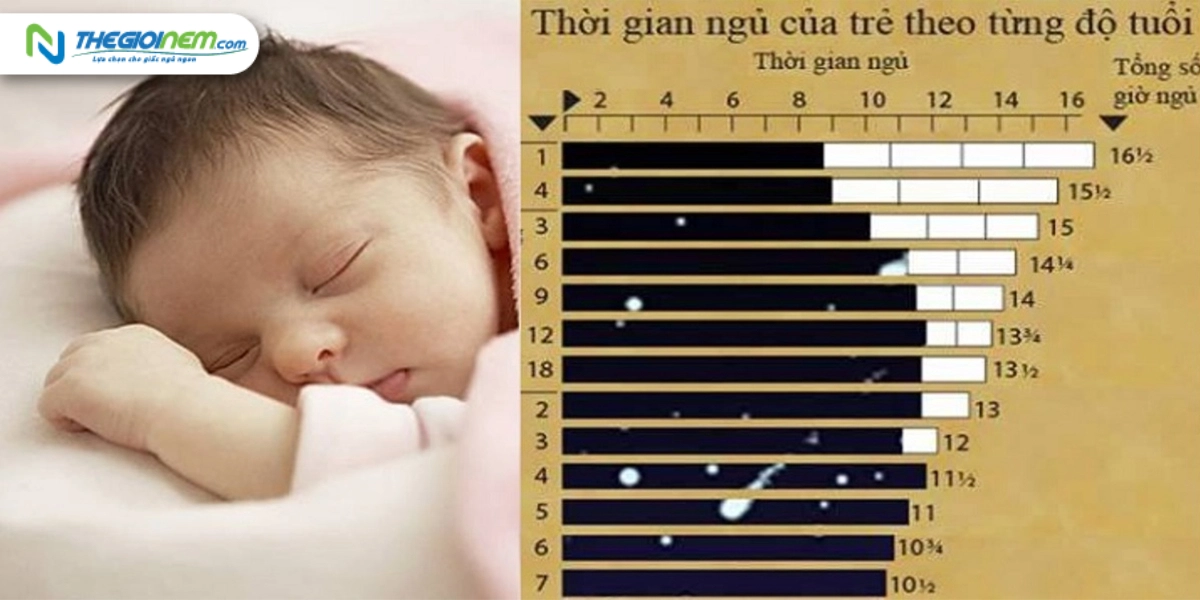 Lịch ngủ bé theo từng giai đoạn phát triển