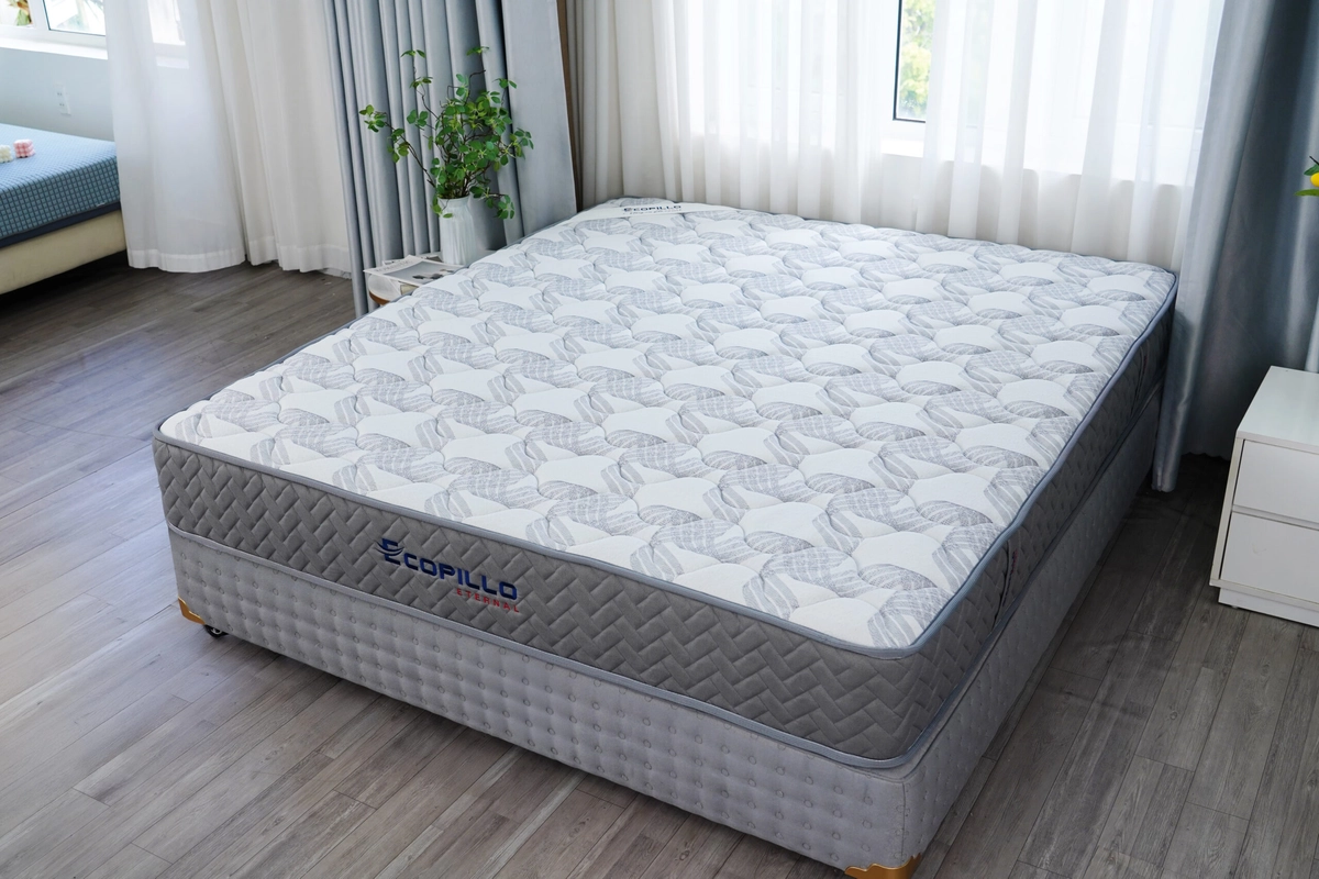 lò xo túi độc lập Four Sea cắt lớp minh họa