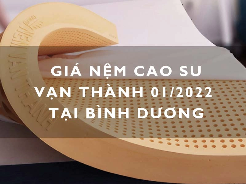 lõi cao su Vạn Thành và áo nệm tháo rời
