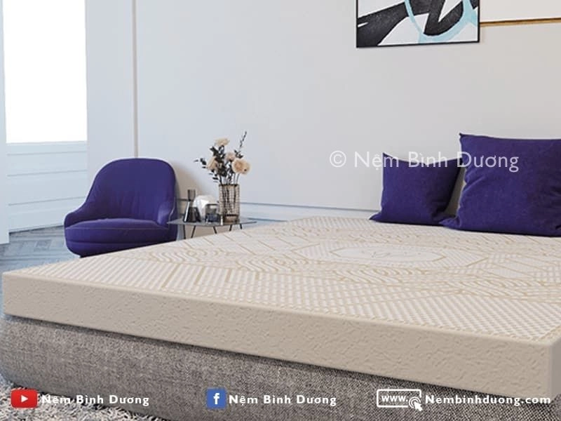 Lựa chọn nệm cao su non cho người đau lưng