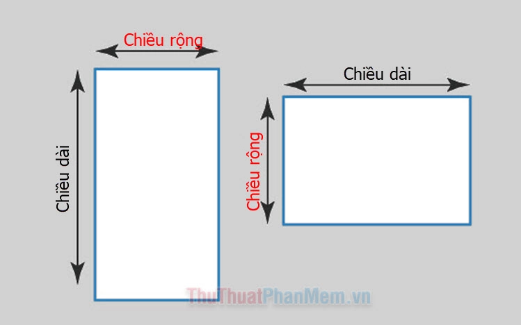 Minh họa độ cứng và kích thước đệm Tuấn Anh