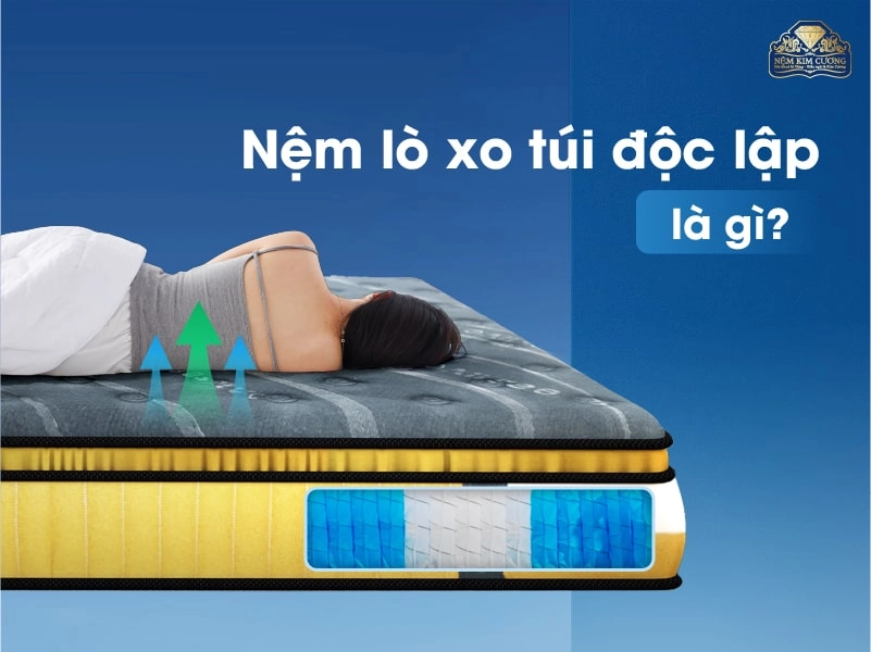 minh họa lò xo túi Serta cô lập chuyển động