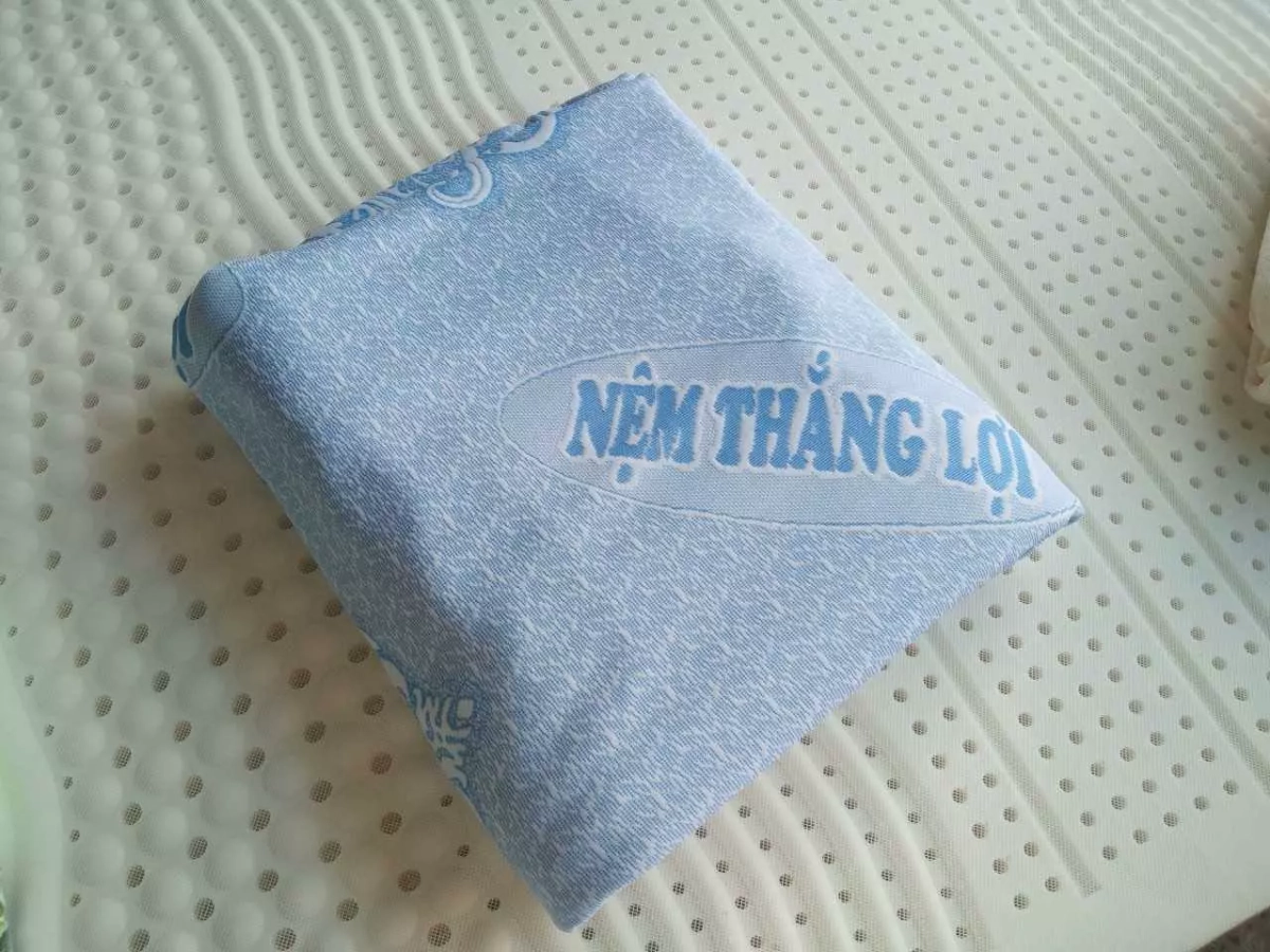 Minh họa motor massage Rosi Thắng Lợi và các vùng tác động