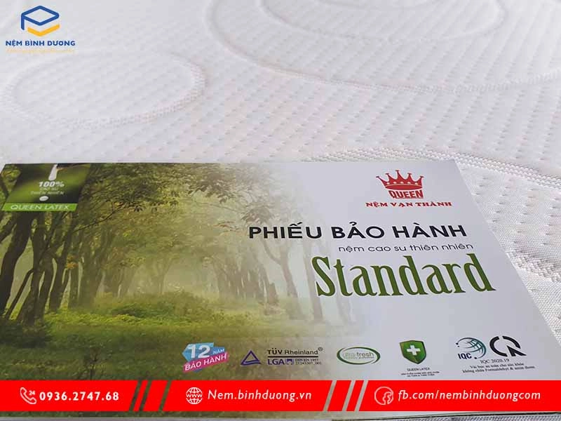 mua nệm tại công ty gối nệm Vạn Thạnh
