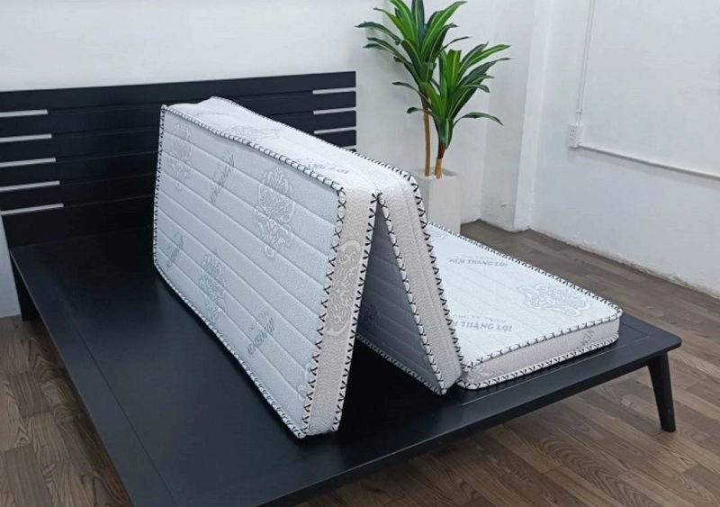 nệm Thắng Lợi gấp 3 phối nội thất hiện đại
